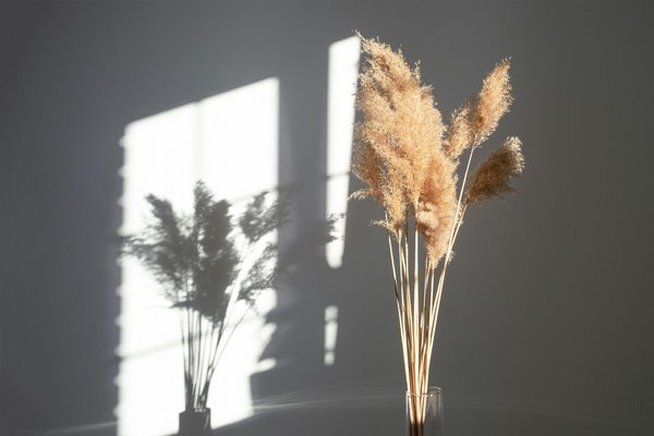 Authentic feathers: discover ethical and natural options